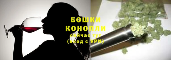 молекула духа Волоколамск