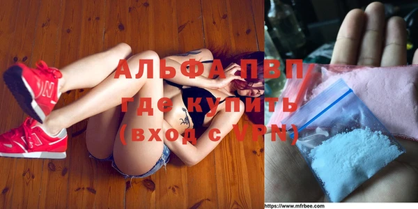 молекула духа Волоколамск
