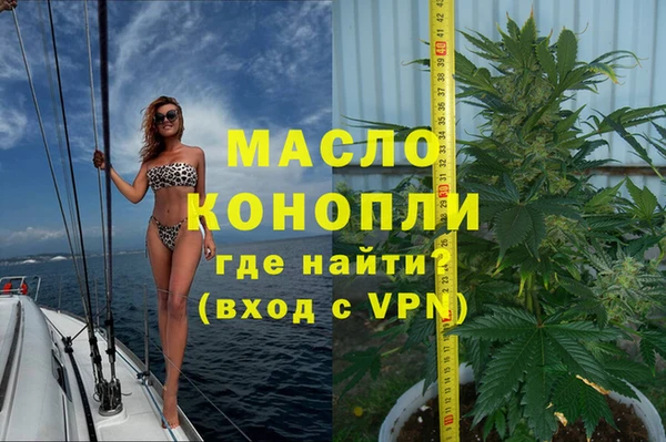 молекула духа Волоколамск