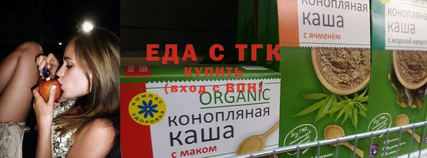 молекула духа Волоколамск