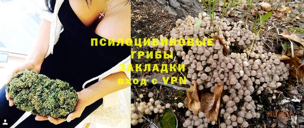 молекула духа Волоколамск