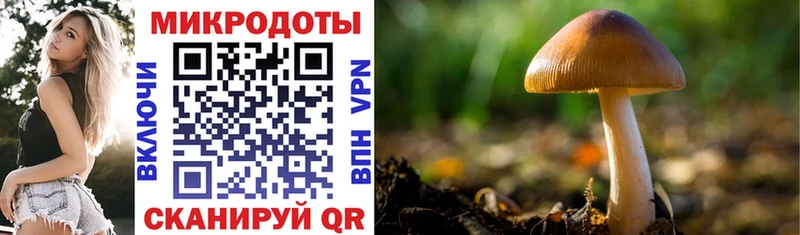 купить наркотики цена  Брянск  Псилоцибиновые грибы Cubensis 